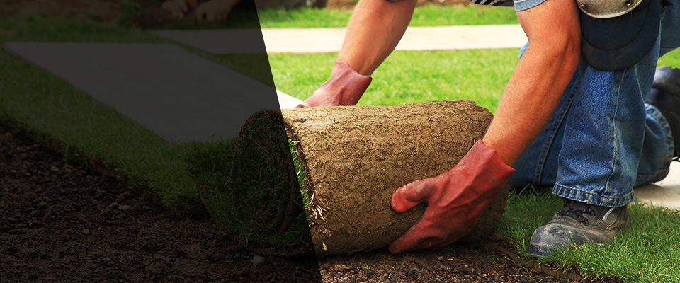 Lennox Landscapers